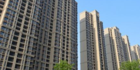 上海房地產信息咨詢價格查詢指南 專業服務與價值解析