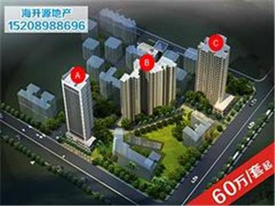 海口海升源房地產營銷策劃 專業房產咨詢與商務信息咨詢的領航者