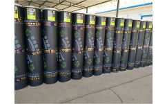 甘肅帝邦建筑防水材料供應(yīng)專(zhuān)業(yè)防水卷材 ,甘肅防水公司